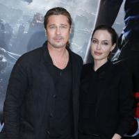 Angelina Jolie et Brad Pitt s'installent en famille en Afrique du Sud ?