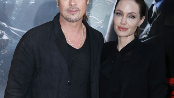 Angelina Jolie et Brad Pitt s'installent en famille en Afrique du Sud ?