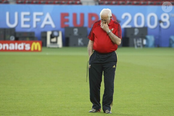 Luis Aragonés à Vienne, le 28 juin 2008