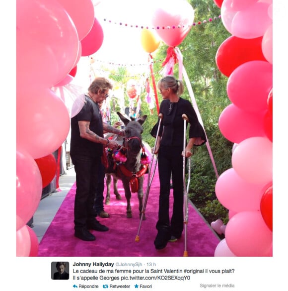 Johnny Hallyday et Laeticia ont organisé une grande fête dans leur villa de Pacific Palisades pour célébrer la Saint-Valentin entre amis, le 8 février 2014. Laeticia a offert un âne à son rockeur de mari. Ils l'ont baptisé Georges.