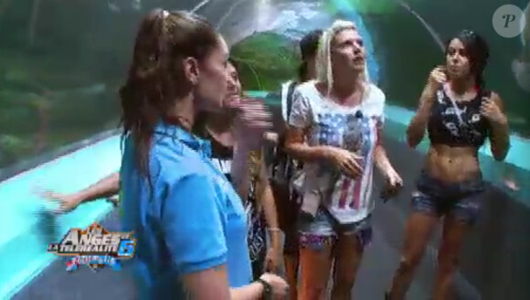 Anaïs, Amélie, Shanna, Eddy et Linda vont nager avec les requins dans Les Anges de la télé-réalité 6 le lundi 24 mars 2014 sur NRJ 12