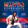 Martin Fontaine sur l'affiche du spectacle "Elvis Experience" à Paris au Palais des Sports du 30 décembre 2014 au 3 janvier 2015.