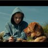 Le Film White God du cinéaste hongrois Kornel Mundruczo, prix Un certain regard. Cette oeuvre futuriste conte la rebellion de chiens errants contre les humains. Les chiens Luke et Body (des frères qui jouent tous deux Hagen) ont remporté d'ailleurs la Palme Dog, qui récompensent le chien le plus expressif des films à Cannes. Ces animaux, qui ont battu le chien de Saint Laurent et Roxy dans Adieu au langage de Godard, succèdent au caniche de Ma vie avec Liberace.