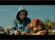 Cannes 2014, palmarès : Les premiers prix déjà décernés