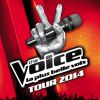 L'affiche de The Voice Tour