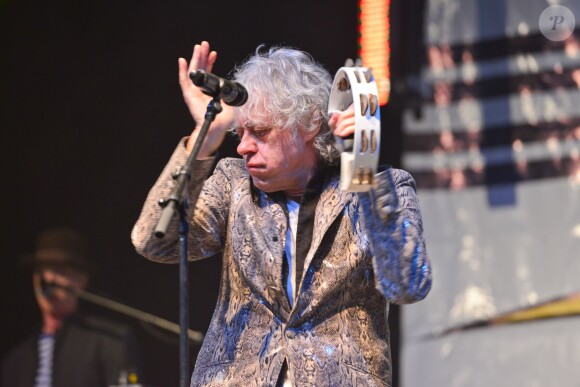 Bob Geldof en concert avec son groupe les Boomtown Rats au Wychwood Festival 2014 (Gloucestershire), le 1er juin 2014.