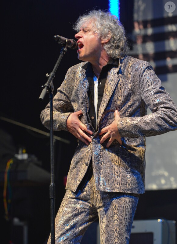 Bob Geldof en concert avec son groupe les Boomtown Rats au Wychwood Festival 2014 dans le cadre de la Cheltenham Racecourse (Gloucestershire), le 1er juin 2014.