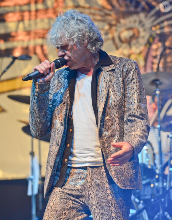 Bob Geldof en concert avec son groupe les Boomtown Rats au Wychwood Festival 2014 dans le cadre de la Cheltenham Racecourse (Gloucestershire), le 1er juin 2014.