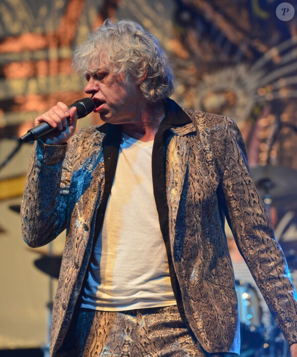 Bob Geldof en concert avec son groupe les Boomtown Rats au Wychwood Festival 2014 dans le cadre de la Cheltenham Racecourse (Gloucestershire), le 1er juin 2014.