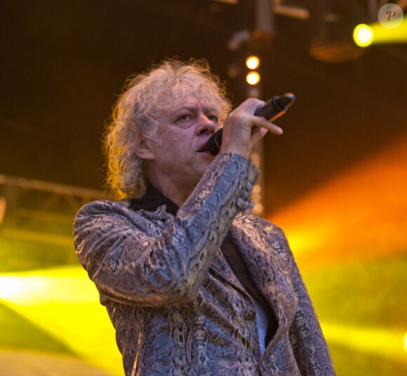 Bob Geldof en concert avec son groupe les Boomtown Rats au Wychwood Festival 2014 dans le cadre de la Cheltenham Racecourse (Gloucestershire), le 1er juin 2014.