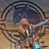 Bob Geldof en concert avec son groupe les Boomtown Rats au Wychwood Festival 2014 dans le cadre de la Cheltenham Racecourse (Gloucestershire), le 1er juin 2014.