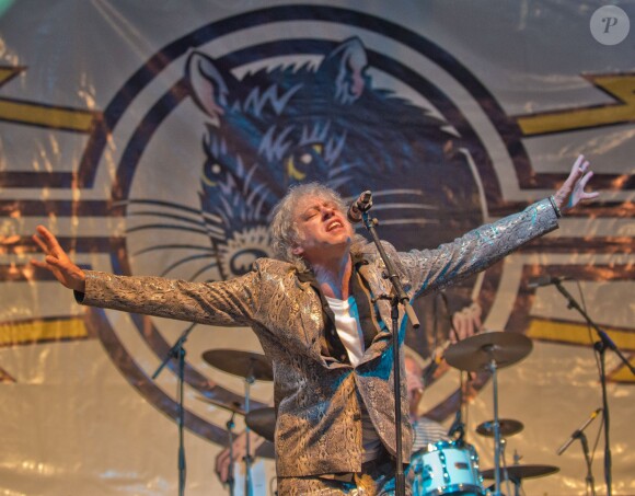Bob Geldof en concert avec son groupe les Boomtown Rats au Wychwood Festival 2014 dans le cadre de la Cheltenham Racecourse (Gloucestershire), le 1er juin 2014.