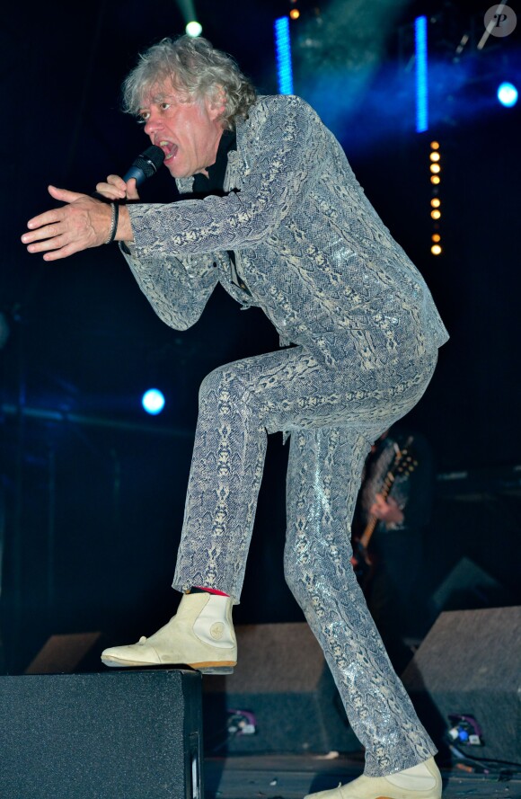 Bob Geldof en concert avec son groupe les Boomtown Rats au Wychwood Festival 2014 dans le cadre de la Cheltenham Racecourse (Gloucestershire), le 1er juin 2014.