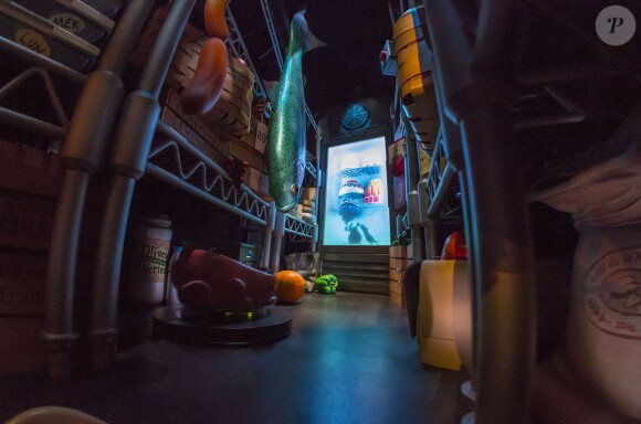 Le parc Walt Disney Studios a ouvert les portes de Ratatouille : L'Aventure Totalement Toquée de Rémy, une nouvelle attraction basée sur le film du même nom ainsi qu'un restaurant, le Bistrot Chez Rémy et une boutique, Chez Marianne (Souvenirs de Paris), le 10 juillet 2014.