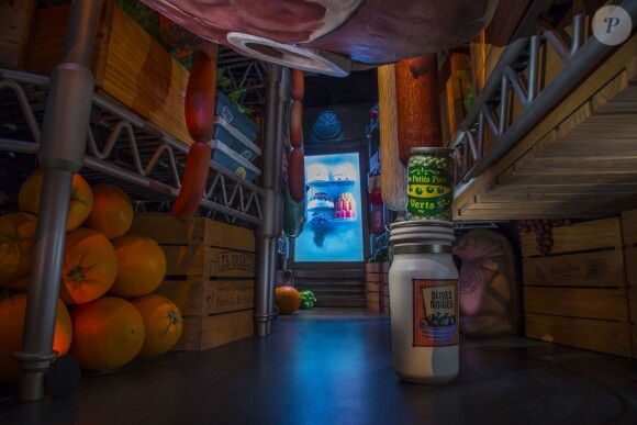 Le parc Walt Disney Studios a ouvert les portes de Ratatouille : L'Aventure Totalement Toquée de Rémy, une nouvelle attraction basée sur le film du même nom ainsi qu'un restaurant, le Bistrot Chez Rémy et une boutique, Chez Marianne (Souvenirs de Paris), le 10 juillet 2014.