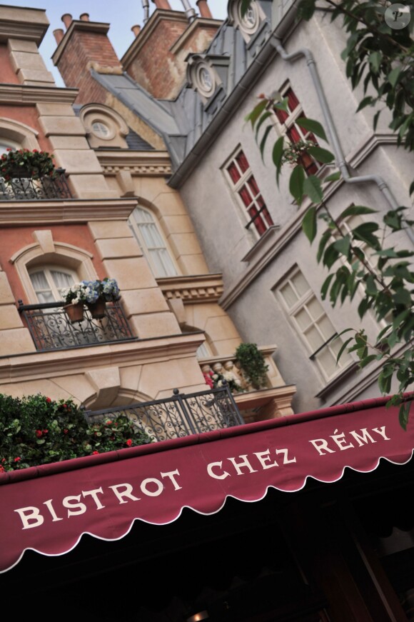 Le parc Walt Disney Studios a ouvert les portes de Ratatouille : L'Aventure Totalement Toquée de Rémy, une nouvelle attraction basée sur le film du même nom ainsi qu'un restaurant, le Bistrot Chez Rémy et une boutique, Chez Marianne (Souvenirs de Paris), le 10 juillet 2014.