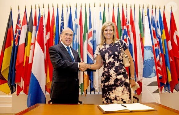 La reine Maxima des Pays-Bas à une réunion à l'OCDE à Paris le 9 juillet 2014