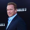 Arnold Schwarzenegger à la première du film "The Expendables 3" au TCL Chinese Theatre à Los Angeles. Le 11 août 2014.