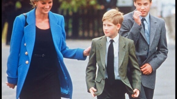 Lady Di : Les princes William et Harry unis dans un hommage plein de passion