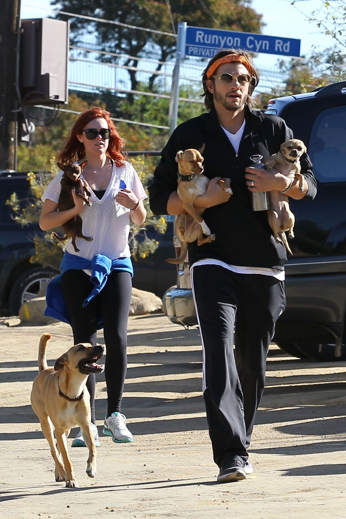 Photo Ashton Kutcher et Rumer Willis promènent leurs chiens à Hollywood, le 9 mars 2011