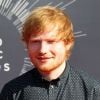 Ed Sheeran - Cérémonie des MTV Video Music Awards à Inglewood, le 24 août 2014.