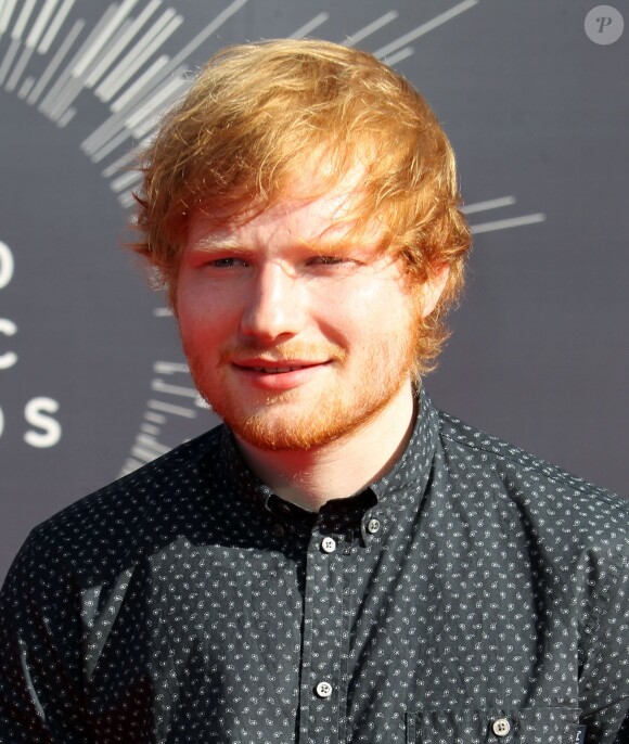 Ed Sheeran - Cérémonie des MTV Video Music Awards à Inglewood, le 24 août 2014.