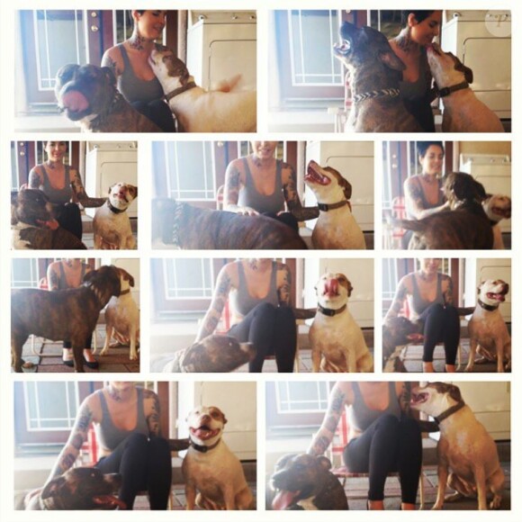 Christy Mack sur Instagram avec ses chiens le 19 octobre 2014