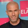Zinédine Zidane lors du "Bilan & Perspectives" du "Club des entreprises qui marchent pour ELA" au siège de Boston Consulting Group (BCG) à Paris le 1er décembre 2014