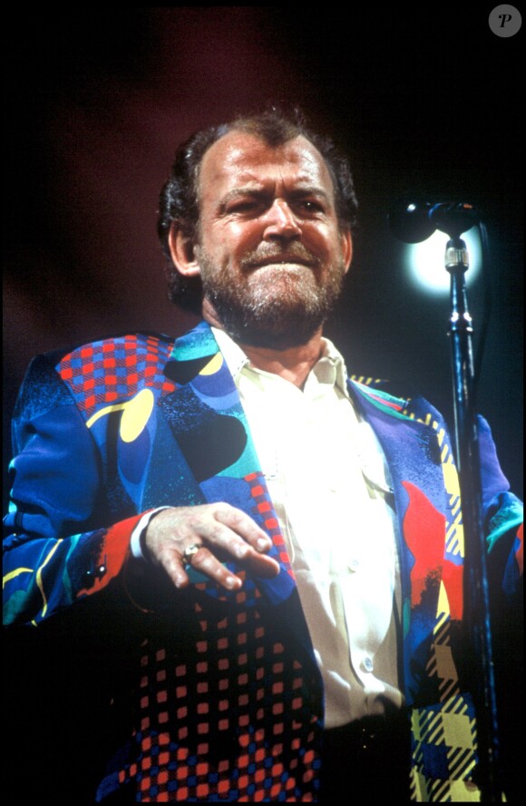 Joe Cocker en concert à Vincennes en 1991