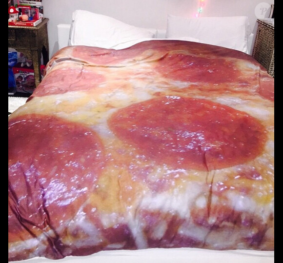 Miley Cyrus a passé les vacances de Noël ainsi que le jour de l'an avec Patrick Schwarzenegger et son père Arnold, elle a posté plusieurs photos sur son compte Instagram à la fin du mois de décembre 2014.