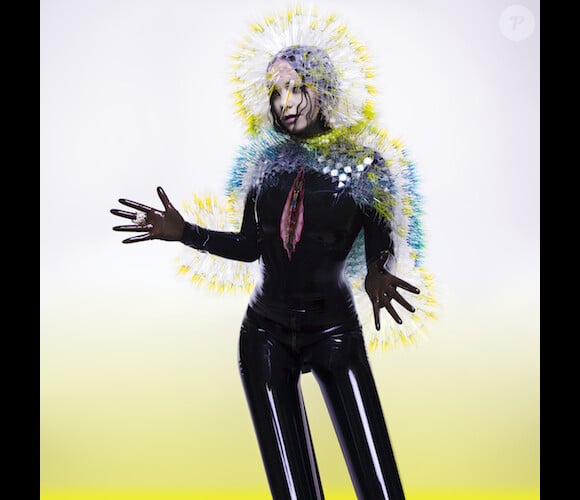 Björk - Vulnicura - janvier 2015. L'album est disponible sur iTunes.