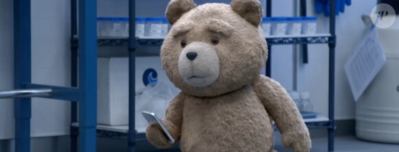 Seth MacFarlane double l'ours en peluche dans le film Ted 2. (capture d'écran)