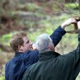 Le prince Harry a eu beau guetter, les écureuils roux ne se sont pas montrés, lors de sa venue dans la forêt de Frankham, dans le Northumberland, le 25 février 2015