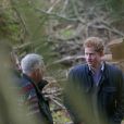 Le prince Harry a eu beau guetter, les écureuils roux ne se sont pas montrés, lors de sa venue dans la forêt de Frankham, dans le Northumberland, le 25 février 2015