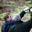  Le prince Harry a tenter de rencontrer des écureuils roux dans la forêt de Frankham, dans le Northumberland, le 25 février 2015. Mais le parrain du Northumberland Wildlife Trust a dû se contenter de prendre des photos de la nature... 