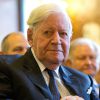 Helmut Schmidt à Hambourg, le 15 octobre 2014.