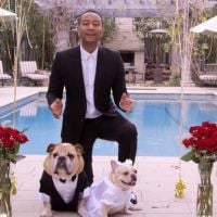 John Legend et Chrissy Teigen : Maîtres de cérémonie d'un mariage qui a du chien