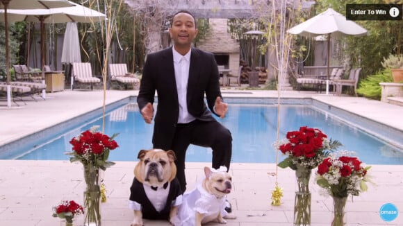 John Legend et Chrissy Teigen : Maîtres de cérémonie d'un mariage qui a du chien