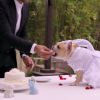 Le chanteur John Legend et son épouse Chrissy Teigen marient leurs deux chiens Puddy et Pippa pour la bonne cause, le 1er avril 2015 sur Youtube