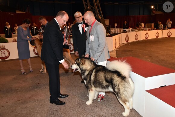 Le prince Albert II de Monaco félicite un Malamute de l'Alaska désigné vainqueur du concours de l'expo canine organisée par la Société canine de Monaco présidée par la baronne Elisabeth-Anne de Massy, le 10 mai 2015 au chapiteau de Fontvieille.