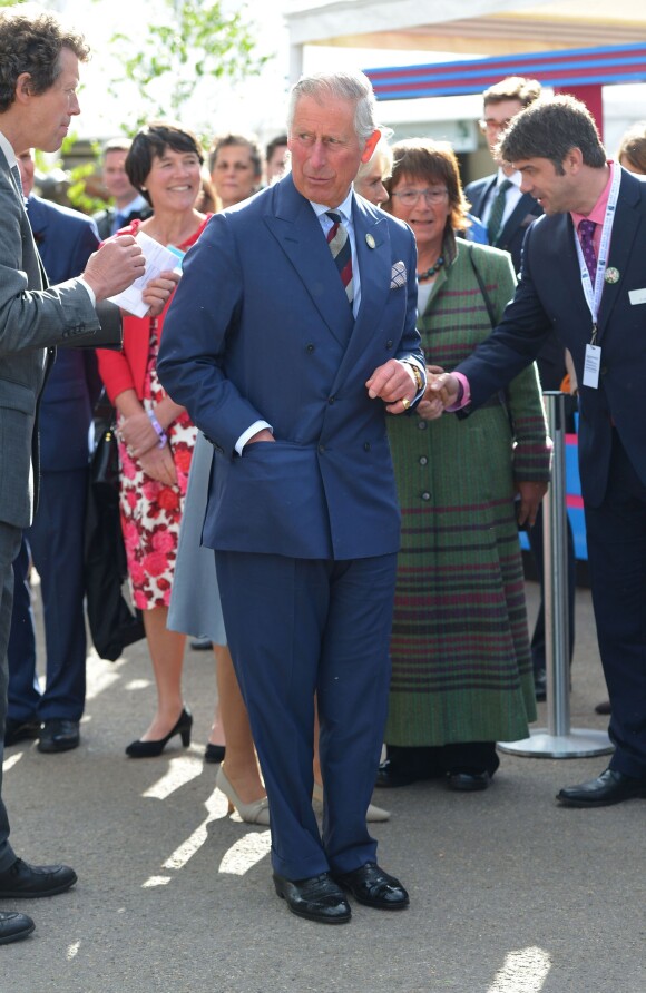Le prince Charles le 18 mai 2015 au Chelsea Flower Show, à Londres.