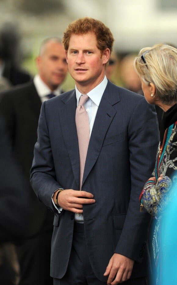 Le prince Harry le 18 mai 2015 au Chelsea Flower Show, à Londres.