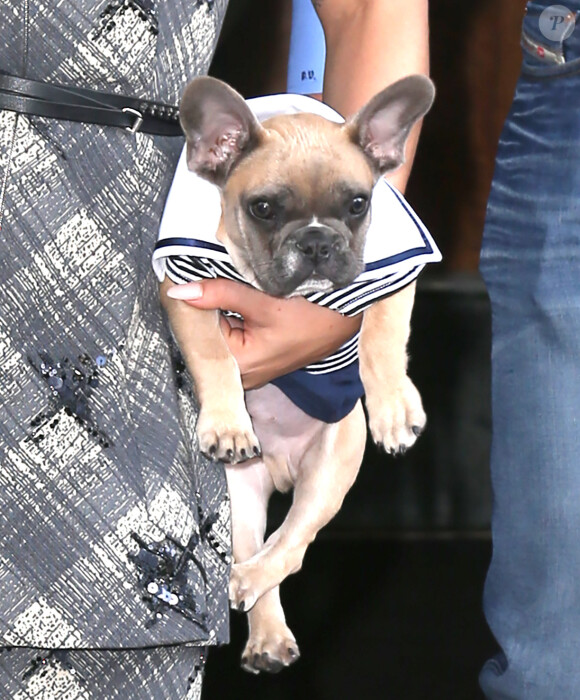 Lady Gaga quitte son hôtel avec son chien Koji à New York le 12 mai 2015.