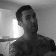 Le chanteur Adam Levine nu dans le clip de This Summer's Gonna Hurt Like A Motherfucker