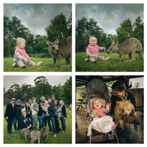 Sortie au zoo pour River Rose, la fille de Kelly Clarkson, photo Instagram, 2015. La chanteuse a annoncé le 19 août 2015 pendant un concert être enceinte de son deuxième enfant, avec son mari Branson.