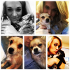 Carrie Underwood a posté une photo de ses chiens sur son compte Instagram.