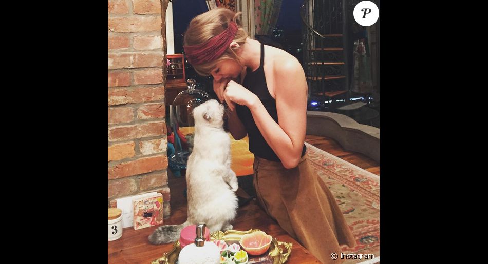 Taylor Swift Et Son Chat Photo Postee Sur Le Compte Instagram De La Chanteuse Purepeople