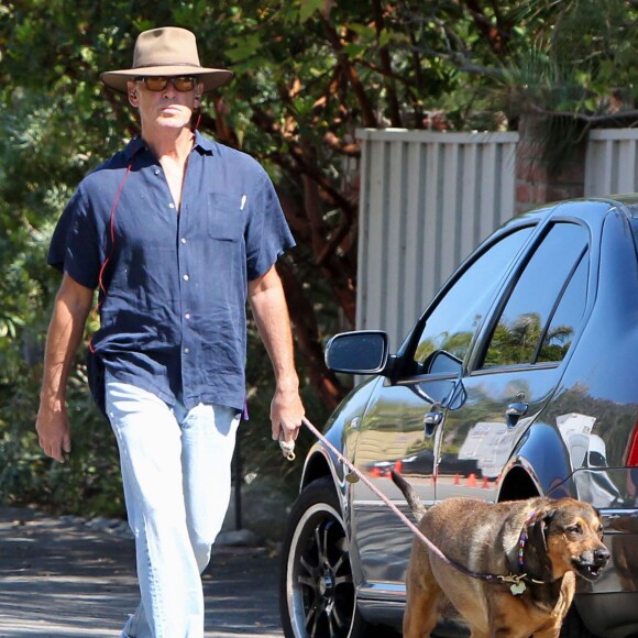 Pierce Brosnan promène son chien dans les rues de Malibu, le 24 mai 2015