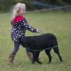 Savannah Phillips et son chien le 12 septembre 2015 au concours complet Whatley Manor Gatcombe à Gatcombe Park (Gloucestershire).