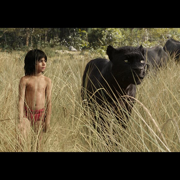 Neel Sethi (Mowgli) et Ben Kingsley (Bagheera) dans Le Livre de la Jungle.